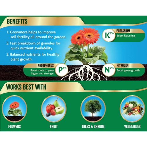 Westland Growmore Garden Fertiliser