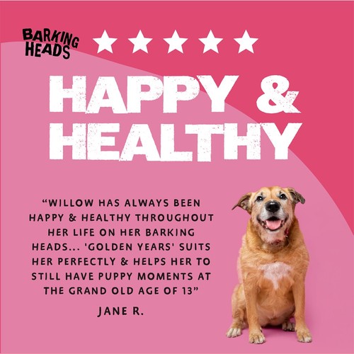 Barking Heads Golden Years Dry Dog Food 