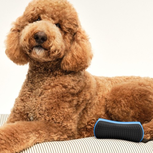 Pet Teezer Large Detangling Brush Blue Grey
