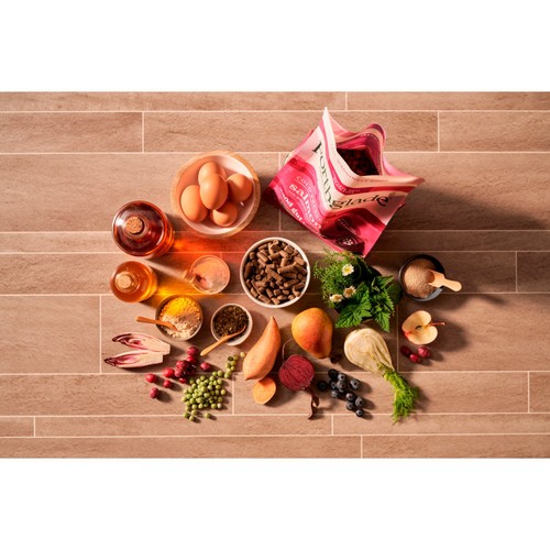 Forthglade Cold Pressed Dry Dog Food Salmon with Sweet Potato