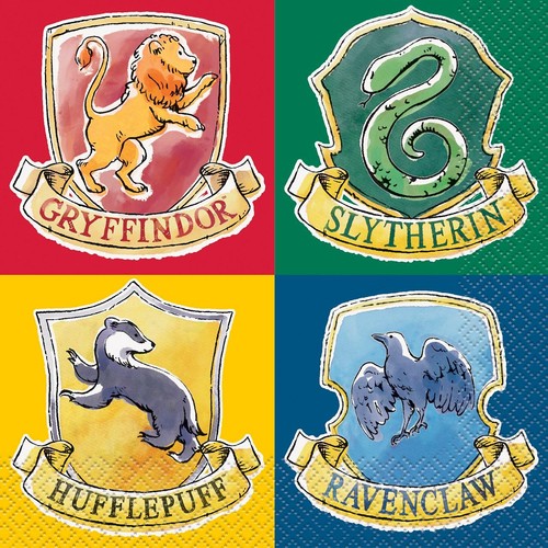 Harry Potter Party Kit