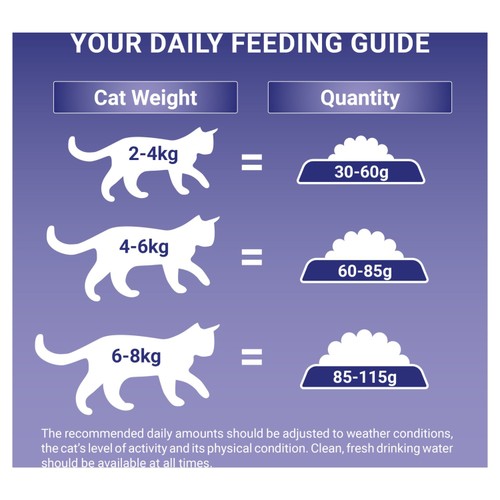 Purina One Salmon Dry Cat Food