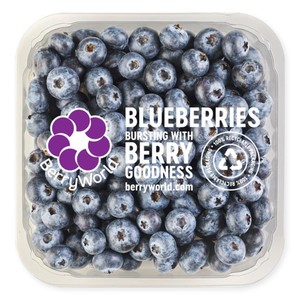 BerryWorld Blueberries
