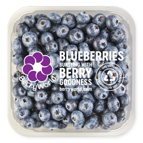 BerryWorld Blueberries