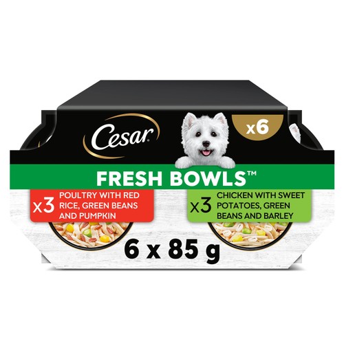 Cesar Fresh Bowl Adult Wet Dog Food Chicken & Poultry in Gravy