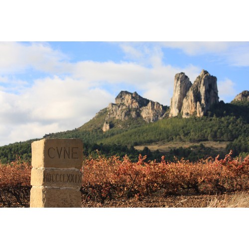 Cune Barrel Fermented Blanco