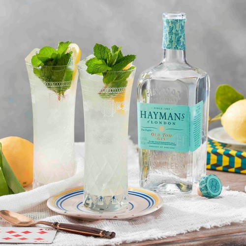 Hayman's Old Tom Gin