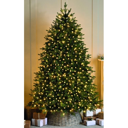 350 Compact Lights - Warm White
