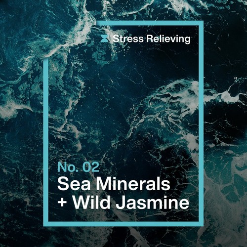 INEOS Antibac Multi-Room Spray Sea Minerals + Wild Jasmine