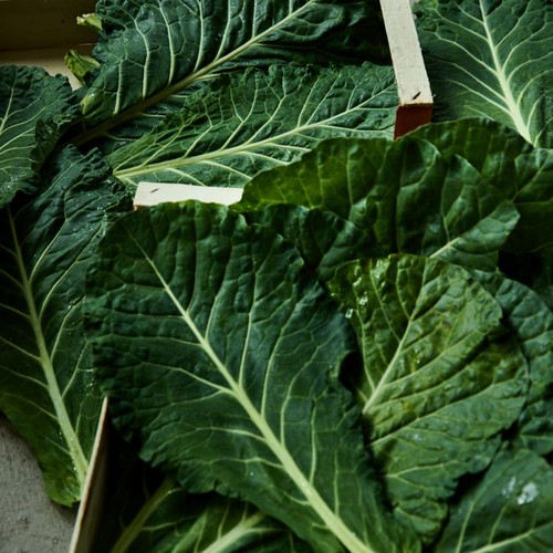 Natoora Organic British Collard Greens
