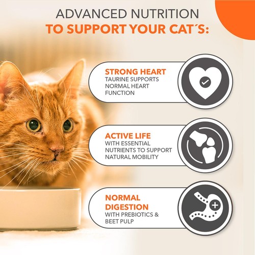 IAMS Senior 11+ Dry Cat Food Chicken