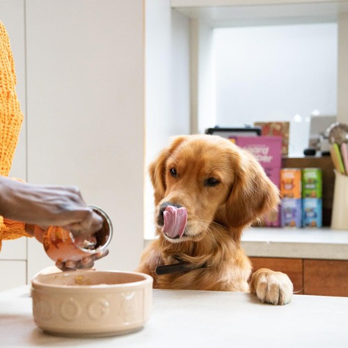 Edgard & Cooper Adult Grain Free Wet Dog Food with Chicken & Turkey