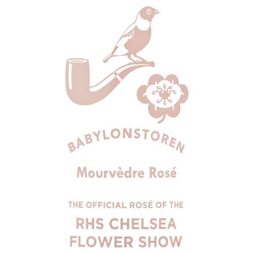 Babylonstoren Mourvedre South African Rose