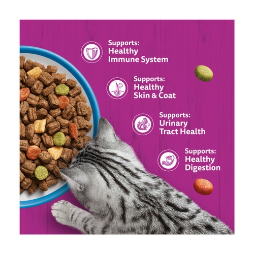 Whiskas 1+ Adult Dry Cat Food with Tuna