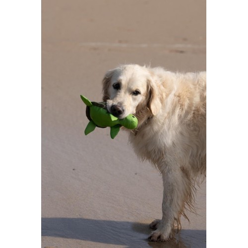 Petface Planet Tessi Turtle Plush Dog Toy
