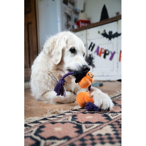 Petface Double Trouble Pumpkin Plush & Rope Dog Toy