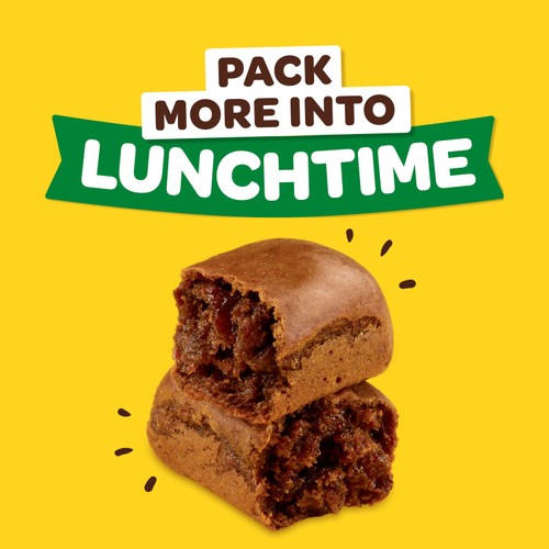 Soreen 10 Individually Wrapped Malt Lunchbox Loaves