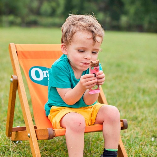 Organix Apple & Orange Soft Oaty Bars Toddler Snacks Multipack 12 months+
