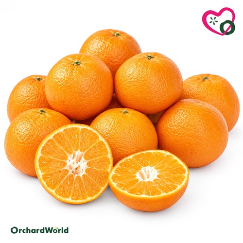 OrchardWorld Seedless Easy Peeler Box