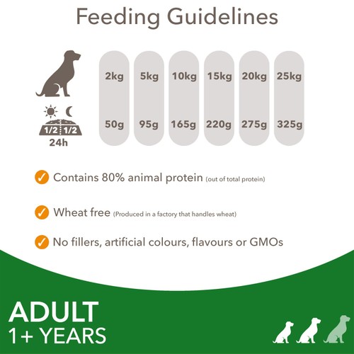 IAMS Advanced Nutrition Adult Dog Food Small/Medium Breed With Lamb