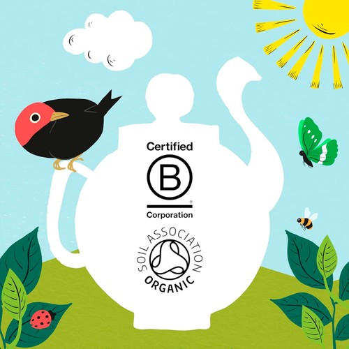 Clipper Organic Fairtrade Green Tea Bags
