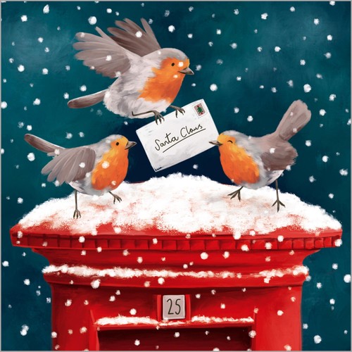 Robins Bumper Box Christmas Card Pack