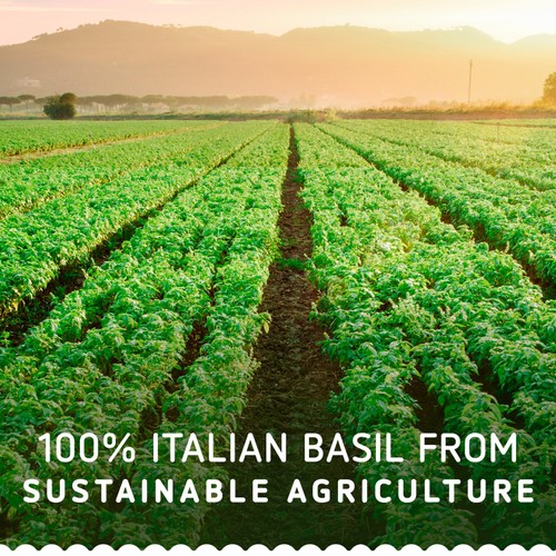 Barilla Pesto Genovese Pasta Sauce