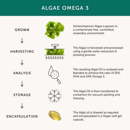 Together Health Omega 3 from Fish-Free Algae