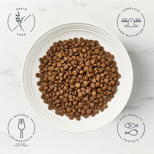 Encore Cat Chicken with Salmon Dry Food