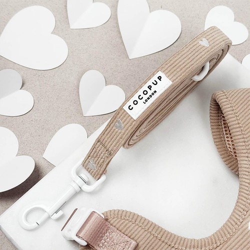 Cocopup Chai Dog Lead