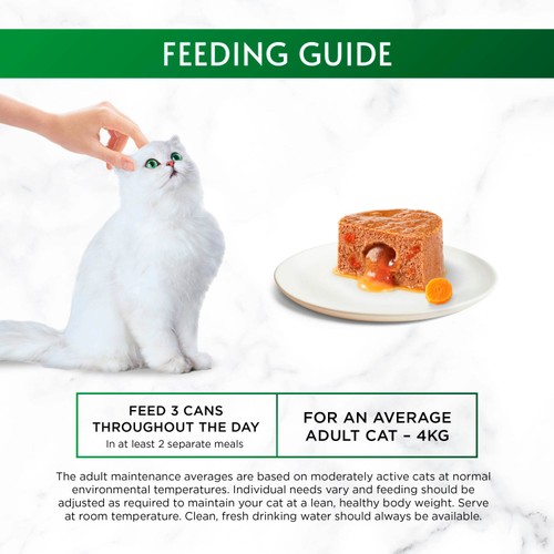 Gourmet Nature's Creations Gravy Heart Chicken Wet Cat Food
