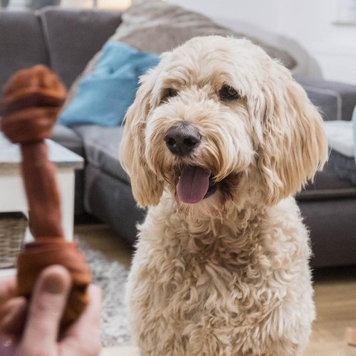 SmartBones 2 Medium Beef Rawhide Free Bone Dog Treats