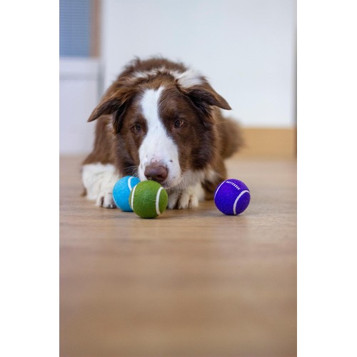 Battersea Tennis Balls 