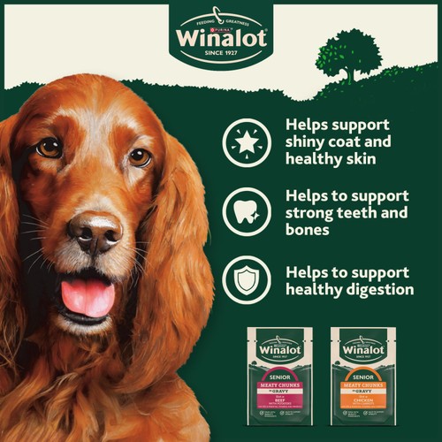 Winalot Meaty Chunks Senior Mixed in Gravy Wet Dog Food
