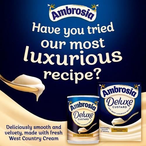 Ambrosia Mini Custard Dessert Snack Pots