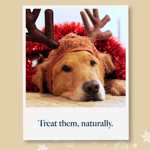Hollings Christmas Cracker Turkey & Salmon Sausages Dog Treats