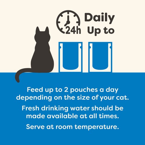 Applaws Cat Pouch Fish Selection in Jelly