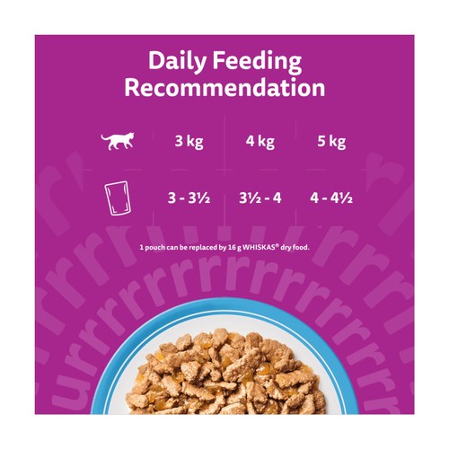 Whiskas 7+ Senior Wet Cat Food Fish Favourites in Jelly