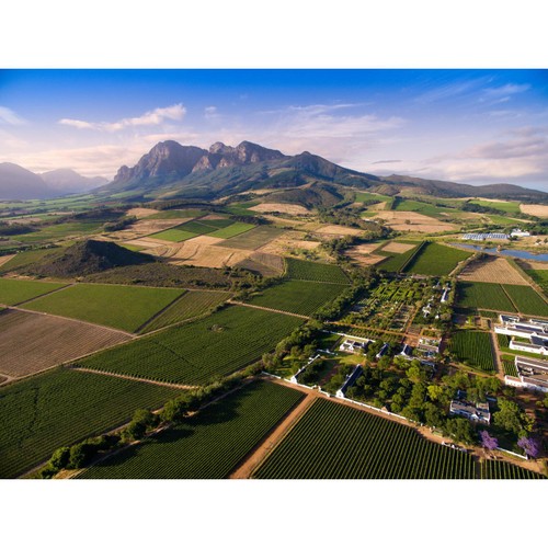 Babylonstoren Mourvedre South African Rose