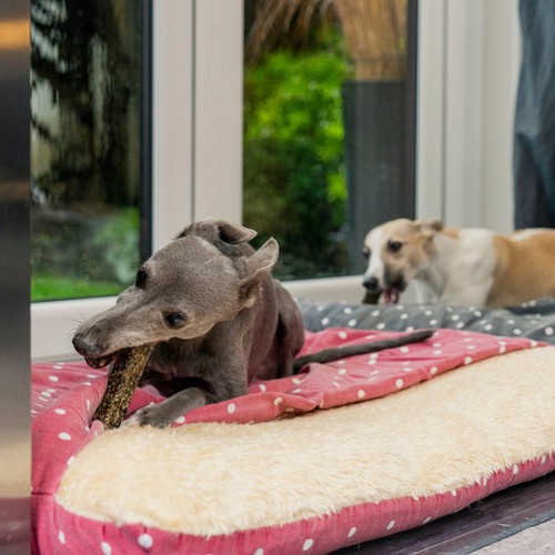 Pooch and Mutt Calming Fish Hide Chews