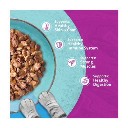 Whiskas 1+ Duo Ocean Delights Adult Wet Cat Food Pouches in Jelly