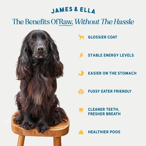 James & Ella Freeze Dried Raw Chicken Complete Dog Food Pouch
