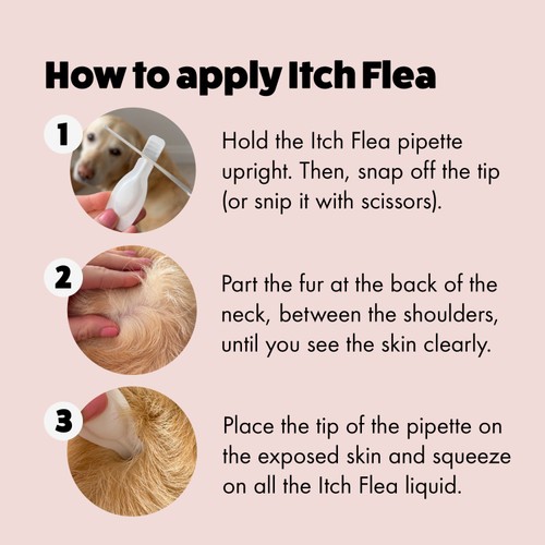 Itch Flea Spot On Solution For Large Dogs 4 Pack