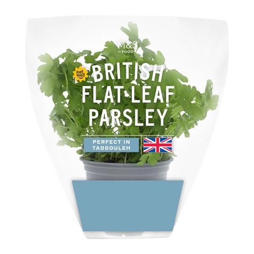 M&S British Flat Leaf Parsley Pot