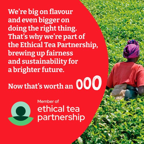 Typhoo Tea Bags