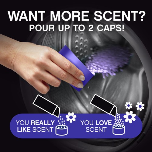 Lenor Unstoppables  Violet Fresh Scent Booster