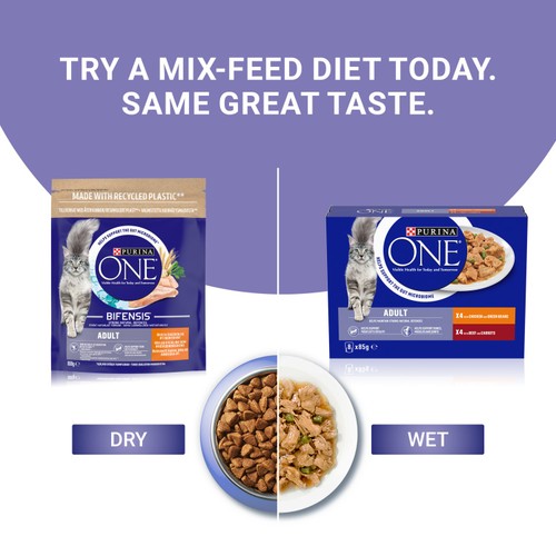 Purina One Chicken Dry Cat Food 