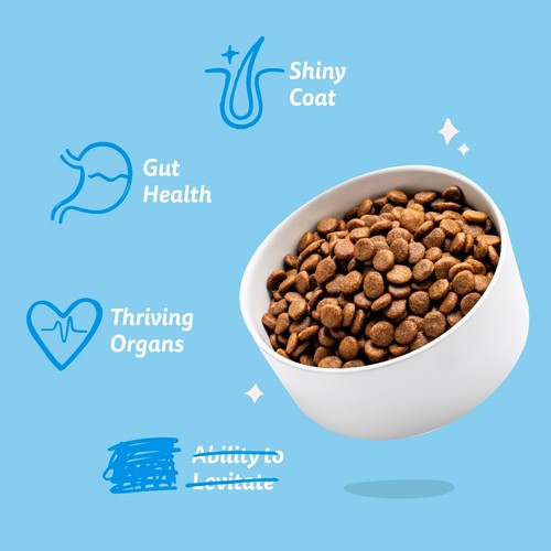 Edgard & Cooper Adult Gluten Free Fresh Salmon Small Kibble