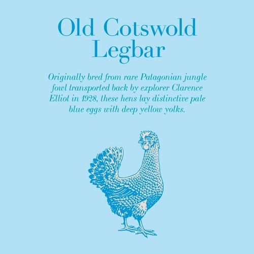 Clarence Court Cotswold Legbar 6 Free Range Blue Mixed Size Eggs