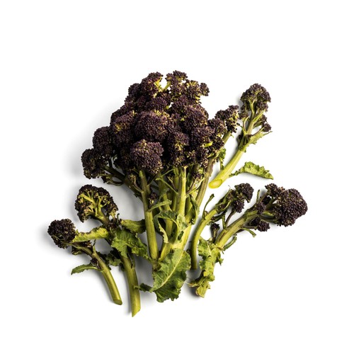 Daylesford Organic Purple Sprouting Broccoli